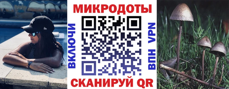 Галлюциногенные грибы ЛСД  мориарти Telegram  Заводоуковск  цены наркотик  hydra ТОР 