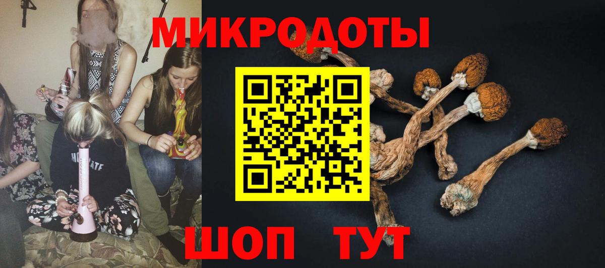 Заводоуковск  Псилоцибиновые грибы MAGIC MUSHROOMS  Вход с VPN 